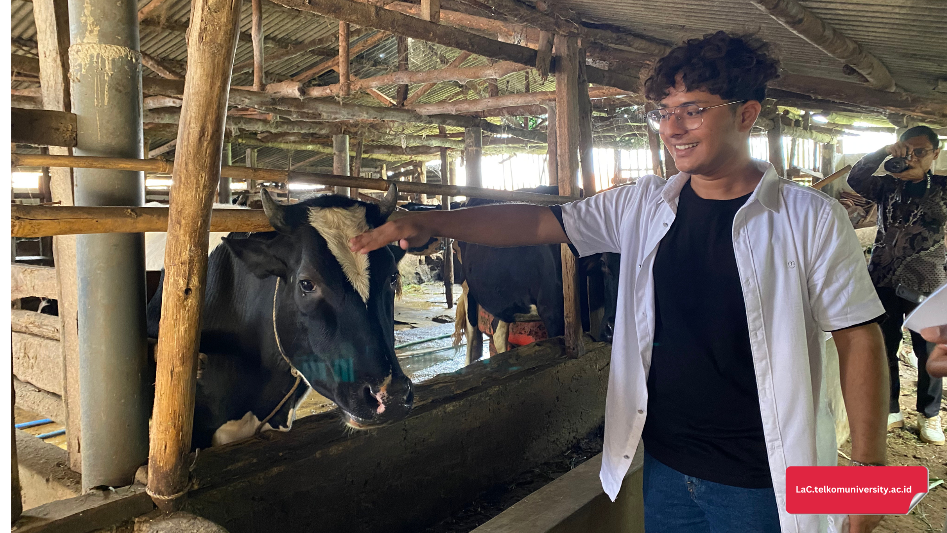 Mahasiswa BIPA mengunjungi peternakan sapi milik warga