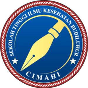 Stikes Budi Luhur